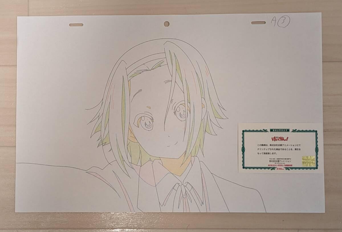 【新品未開封】けいおん！ 田井中律 描き下ろし生動画　京アニショップ Amazon.co.jp: 『けいおん!!』描き下ろし生動画「田井中律」京